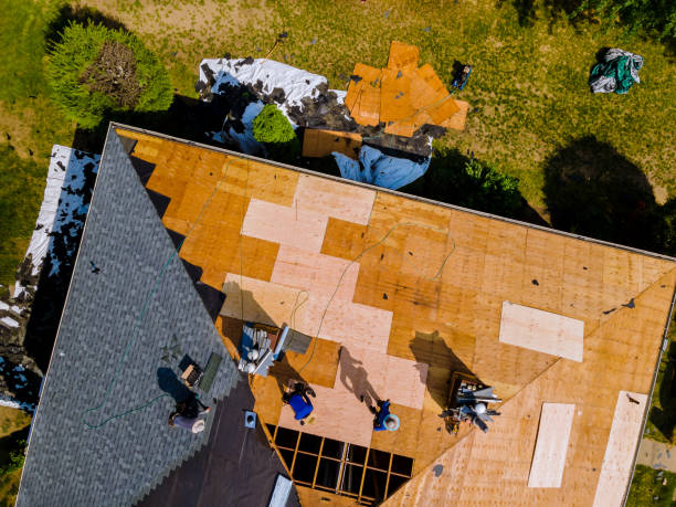 Best Roof Gutter Cleaning  in Lake Ketchum, WA